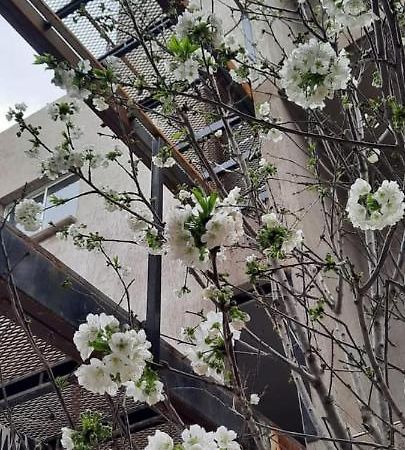 El Cerezo Διαμέρισμα Μεντόζα Εξωτερικό φωτογραφία