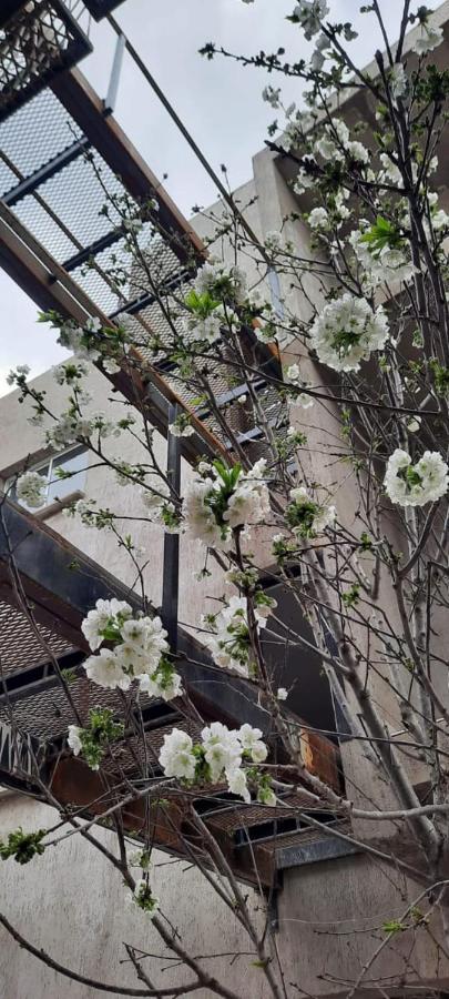 El Cerezo Διαμέρισμα Μεντόζα Εξωτερικό φωτογραφία